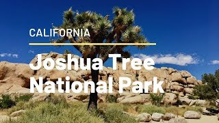 JOSHUA TREE NATIONAL PARK