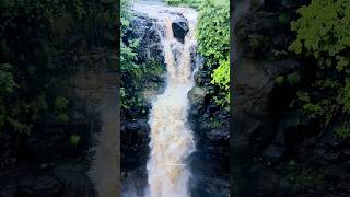 📍Randha waterfall💫#waterfall #bhandardara #nature #trekker #trekker #sandhanvalley #kokankada #viral