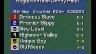 1993 Scottish Greyhound Derby