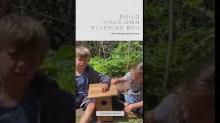 Build your own Bluebird Box