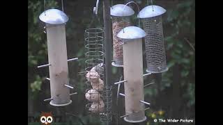 Feeder 050322