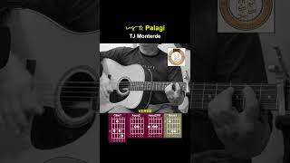 「ᜉᜎᜄᜒ Palagi 」TJ Monterde