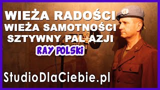 Wieża radości, wieża samotności - Sztywny Pal Azji (cover by Ray Polski) #1565