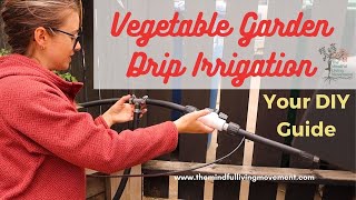 DIY Drip Irrigation For Beginners: Watering System For Vegetable Garden