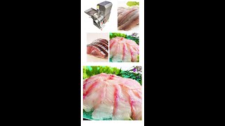 Fish Bone-Removing Machine: How to Remove Fish Bone by Machine?