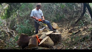 Жизнь в греческой деревне. Снова пилю дрова.