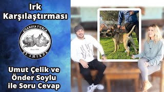 Irk Karşılaştırması - Umut Çelik ve Önder Soylu ile Soru Cevap