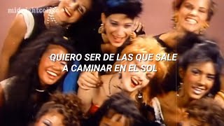 Cyndi Lauper - Girls Just Want To Have Fun (Español)