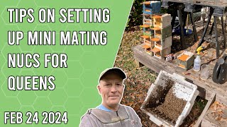 Tips on Setting up Mini Mating Nucs for Queens - Jacksonville FL Zone 9b