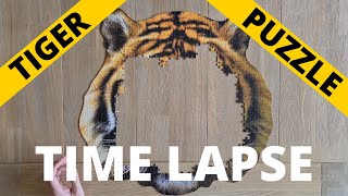 Tiger Face Puzzle Time Lapse