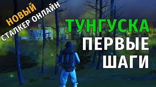 17. Тунгуска. Первые шаги. Новый Сталкер Онлайн, СПБ сервер.