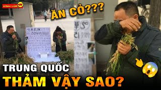 🔥 7 Thứ Kỳ Lạ Và Điên Rồ Nhất Ở Trung Quốc I Kính Lúp TV