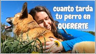 ¿Cuánto tiempo tarda tu perro en QUERERTE? | ❤️ Quieroamiperro