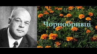 Чорнобривці - фортепіанна версія популярної української пісні