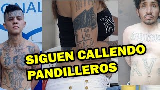 Dios santo La guerra contra las pandillas continua | Caen mas pandilleros en el salvador