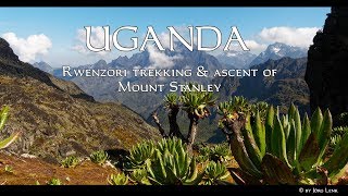 UGANDA - "Rwenzori trekking and ascent of Mount Stanley" [4K]