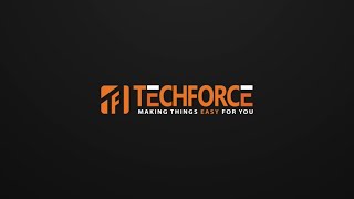 Unveiling the Dedication and Work Culture at Techforce Global: Making Things Easy for you.