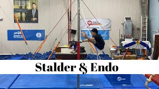 3 things you should know for learning Stalder & Endo