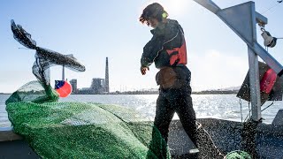 Veteran Trawls the Delta, Dives Deep Into Fisheries Careers with CCC