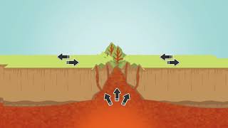 Transformed plate boundary