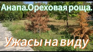 Анапа.Ореховая роща.Делали,делали,но не доделали