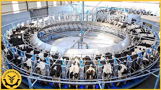 This Is How Modern Agriculture Machines Feed Millions Of Dairy Cows.