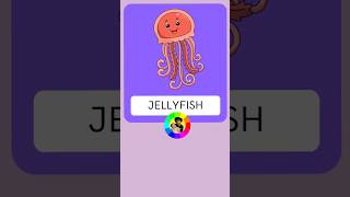 Jellyfish Flashcard #shorts #jellyfish #animals #flashcard