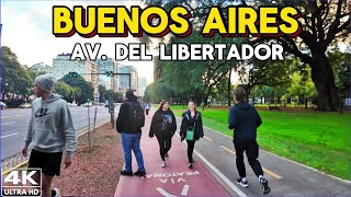 【4K】PASEO por el ATARDECER de BUENOS AIRES, Avenida del Libertador - Recoleta, Palermo Walking Tour