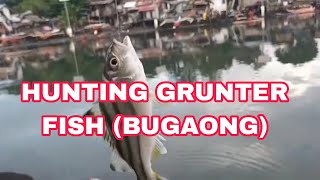 HUNTING GRUNTER FISH (BUGAONG) SABIKI GAMING | COASTAL ROAD BONGGOYAN