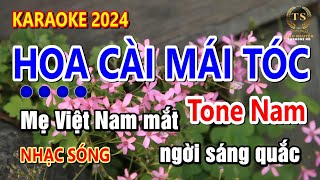 Hoa Cài Mái Tóc Karaoke Tone Nam | Sinh Nguyễn Karaoke | NHẠC SỐNG LIVE