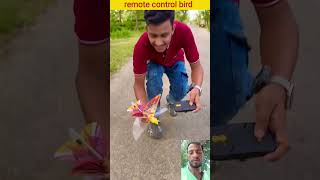 Remote control birds #shorts #birds