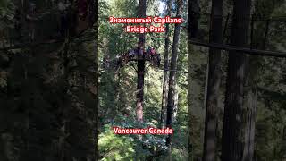 Знаменитый  Capilano Bridge Park - Canada #travel # путешествия #отдых #обзор