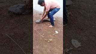 Catfish And Snakehead fish Big Size  Catchup || बहोत बडी आकार कि मछलीया पकडे 🙆‍♂️🙆‍♂️😮😮