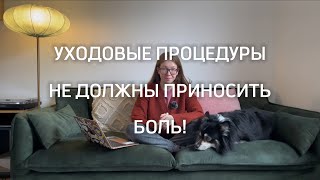 Приучение собаки к процедурам // Что мешает довести процесс до конца?