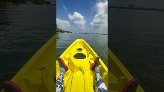 🐕 CoCo : “1st time doing water sports.” #watersport  #chihuahua #pet #doglover #dog #petlovers