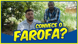 Conhece o Farofa?