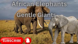 African Elephants: Gentle Giants