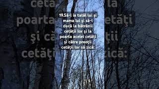 Moise exemplu de moral și etică evreo- cristiano- musulmană. Ce s-ar face omenirea fără aceste texte