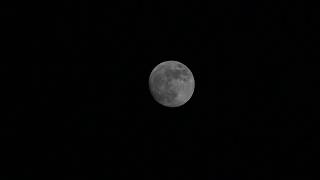 Moon video Sony A6500 + Sigma 150-600 C