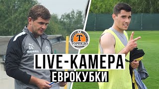 LIVE-КАМЕРА: сбор перед Лигой Конференций 🏆