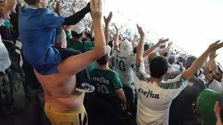 Palmeiras 2 x 0 Sampaio Corrêa. MANCHA VERDE