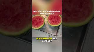 Why Does Watermelon Foam When You Cut It #amazing #funny