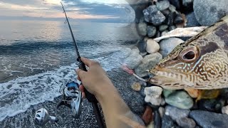 14/09/2023 🎣 Light spinning dalla spiaggia. Si cerca il branzino, ma esce lo sciarrano 🌊🌊🌊💥🎣