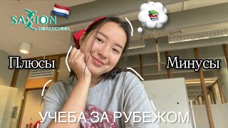 2Й ГОД В УНИВЕРЕ // ФАКТЫ// ПЛЮСЫ И МИНУСЫ УЧЕБЫ ЗА ГРАНИЦЕЙ