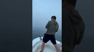 Foggy morning topwater striped bass fishing #fishing #blockisland #shorts