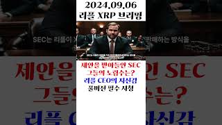 제안을 받아들인 SEC 그들의 노림수는? 리플 CEO의 자신감 #shorts  #리플