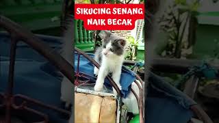 PERTAMA KALI SIMANIS NAIK BECAK TERLIHAT SENANG SEKALI #Shorts