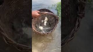 Amazing fishing skills