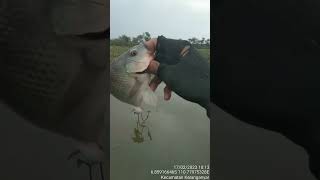 Mancing sebentar saja