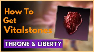 How To Get Vitalstones in Throne And Liberty